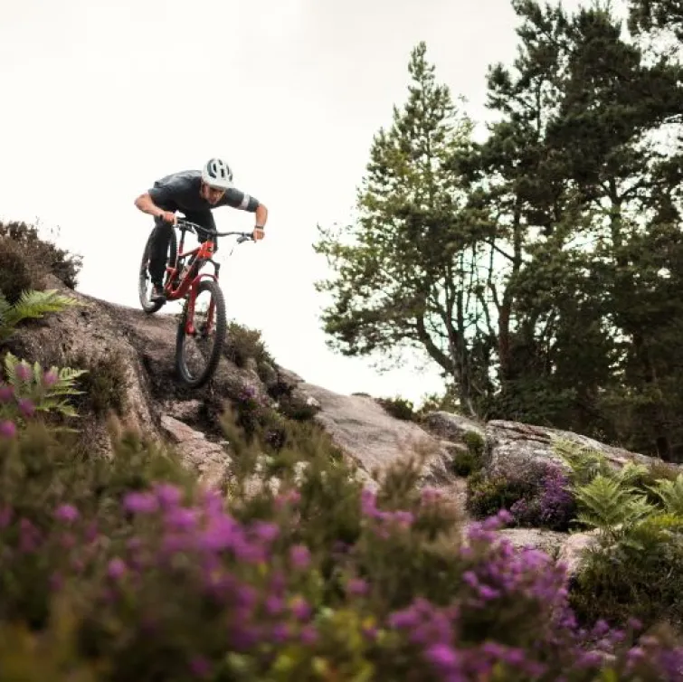 Discover North-East Scotland’s Biking Scene with VDub Adventures